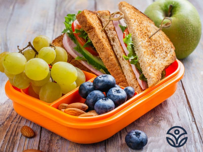 back to school lunch ideas